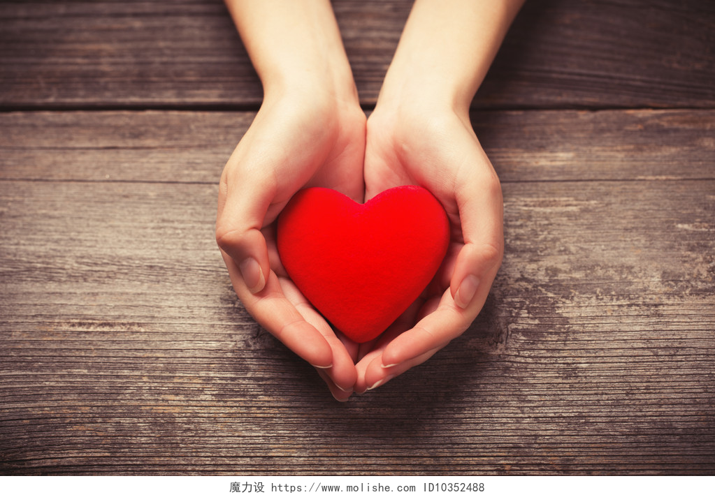 木制桌子上女人的手上捧着一颗红色的爱心红色的心